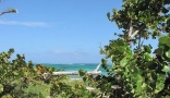 Property Martinique (972), à vendre SAINTE LUCE appartement T3 de 85.35 m² - Terrain de 177.89 m² (KDJH-T141922)
