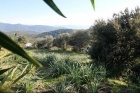 Property Dpt Corse (20), à vendre SERRA DI FERRO terrain de 4495 m² - (KDJH-T231172)