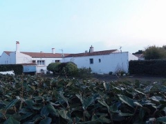 Anuncio Maison/villa 5 pices et plus (YYWE-T34893)
