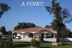 Annonce Corse (20),  vendre SOLARO maison P4 de 170 m - Terrain de 2000 m - plain pied (KDJH-T203842)