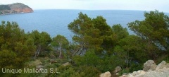 Annonce 526451 - Parcela en venta en Canyamel, Capdepera, Mallorca, Baleares, Espaa (ZYFT-T5390)
