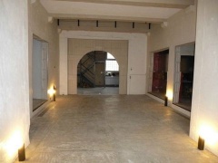 Annonce Aude dept (11) Carcassonne Loft de 250 m2 de S H avec 300 m2 de jardin (BWHW-T6030)