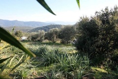 Property Dpt Corse (20),  vendre SERRA DI FERRO terrain de 4495 m - (KDJH-T231172)