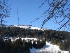 Property Dpt Haute Savoie (74),  vendre MORZINE maison P9 de 213 m - Terrain de 941 m (KDJH-T225610)
