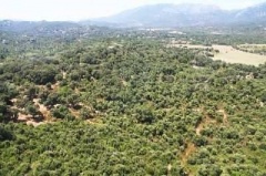 Anuncio Dpt Corse (20),  vendre PORTO VECCHIO terrain de - Terrain de 2000 m - (KDJH-T224406)