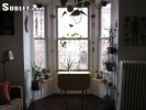 Anuncio Brooklyn, Apartment to rent (ASDB-T15888)