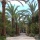 Annonce 619566 - Villa Unifamiliar en venta en Sierra Blanca, Marbella, Mlaga, Espaa (ZYFT-T4910)