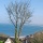 Property Buy a Property in St. Ives (PVEO-T273242)