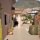Annonce La venta: la villa Tenerife, Torviscas Alto (DGZR-T609)