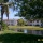 Anuncio Rent an apartment to rent in Bradenton, Florida (ASDB-T8462)