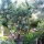 Anuncio Villa estilo Mediterraneo con jardines espectaculares en el Golf de Bendinat. (EMVN-T1435)