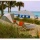 Annonce Condo Apartments for sale17315 COLLINS # 1405 1405 Sunny Isles Beach, Florida 33160 (VIZB-T890)