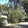 Property Dpt Corse (20),  vendre proche BASTIA camping 4 toiles de 31000 m pied dans l'eau. A SAISIR ! (KDJH-T227562)