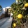 Anuncio 640448 - Villa en venta en Es Figueral, Santa Eulalia del Rio, Ibiza, Baleares, Espaa (ZYFT-T5947)