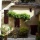 Property Maison/villa (YYWE-T36425)