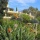 Annonce Duplex Penthouse for rent in Las Brisas Golf, Marbella, Mlaga, Spain (OLGR-T430)